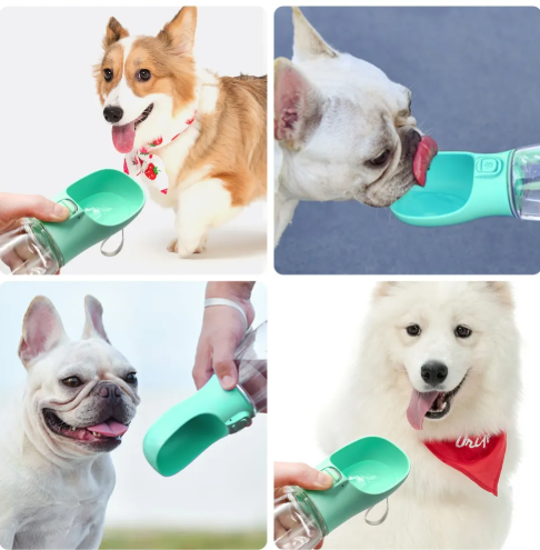 Travel Pet Hydration Cup